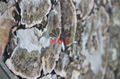 marble natural stone board countertops hotels 2