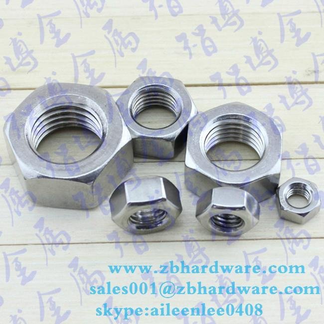 China supplier din934 stainless steel  insert lock nut 