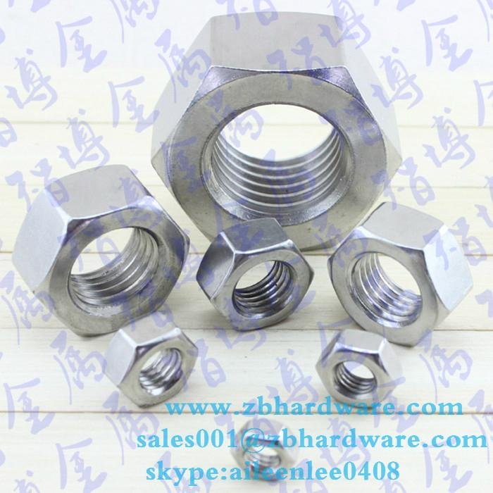 China supplier din934 stainless steel  insert lock nut  4