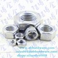 Made In China SS304 SS316  Hex Nuts And Bolts 3