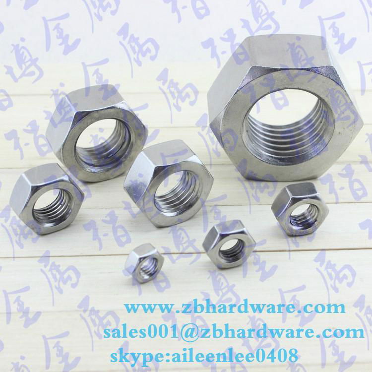 Made In China SS304 SS316  Hex Nuts And Bolts 5