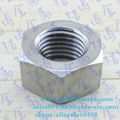 High Strength Hex Head lock Insert Nuts