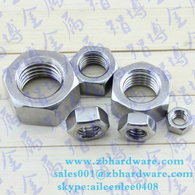 High Strength Hex Head lock Insert Nuts 2