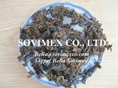 Organic sargassum seaweed extract