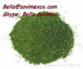 ULVA LACTUCA _SEAWEED_BEST PRICE_HIGH