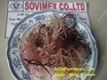 E.Cottonii/Spinosum Seaweed