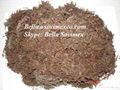 100% Nature Sargassum Fertilizer Seaweed Extract