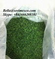 Ulva Lactuca (Powder/Dried) 2