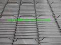 Wire Mesh Belts 1