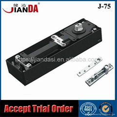 Professional Hot Sale Floor Spring Hinge