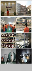 Shenzhen Longreen Lighting Co., Ltd.