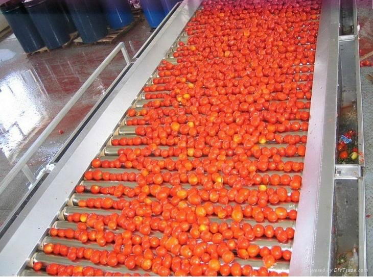 Tomato paste production line  3