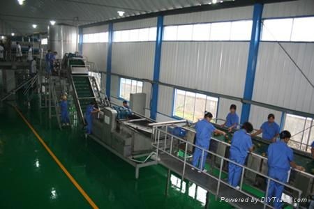 Pear processing line, juice production line  2