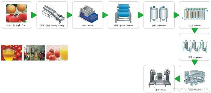 Pear processing line, juice production line  3