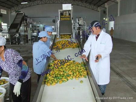 Mango processing line, mango processing plant 3