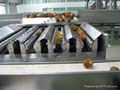 Pineapple processing line  2