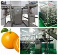 Citrus processing line, orange processing plant