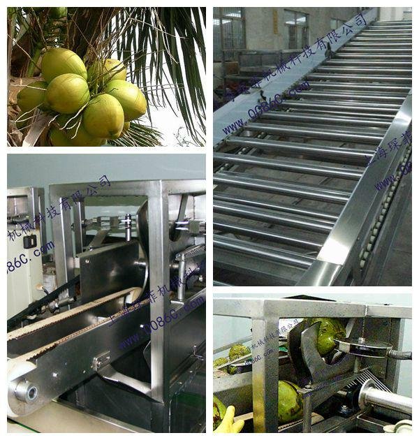 Coconut processing line 