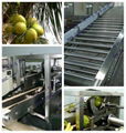 Coconut processing line  1