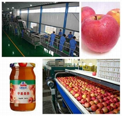 Apple processing line