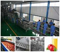 Apple processing line  2