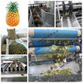 Pineapple processing line