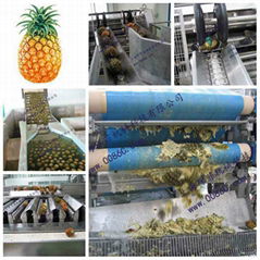 Pineapple processing line 