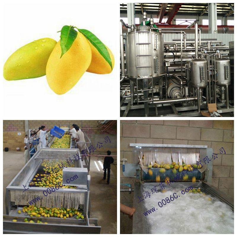 Mango processing line, mango processing plant