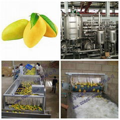 Mango processing line, mango processing