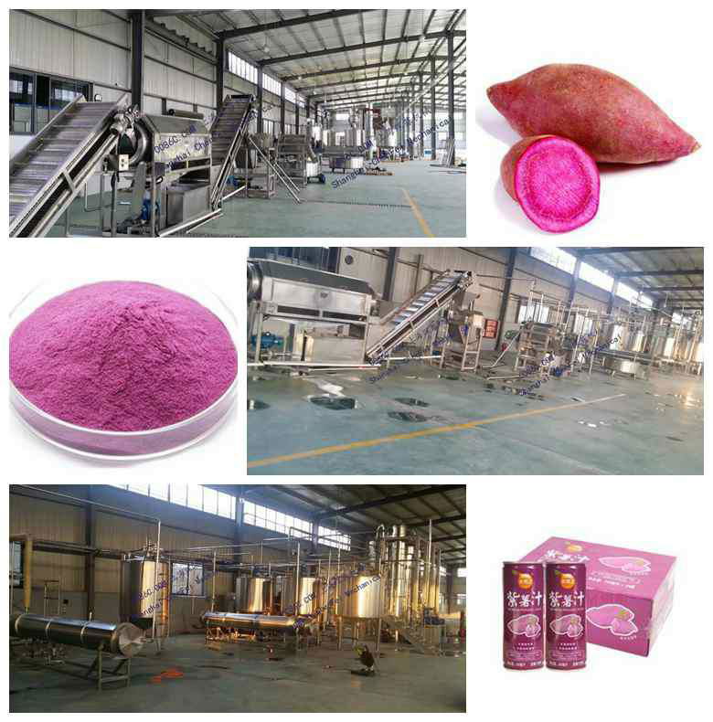 purple sweet potato processing line machine,Purple sweet potato starch machine