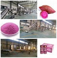 purple sweet potato processing line