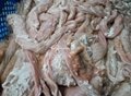 Pork rectum intestine 3