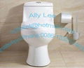 5A grade quality Sanitaryware toilet with CE standard from Henan Manufacturer 1