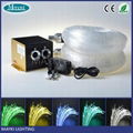 Best sale fiber optic light with 24W RGBW LED+ twinkle white wheel fiber optic l 1