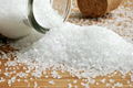 Raw Sea Salt - Food grade and Deicing Ssalt 2