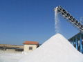 Raw Sea Salt - Food grade and Deicing Ssalt 3