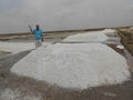 Raw Sea Salt - Food grade and Deicing Ssalt 5