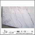 China Carrara White 1