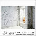 Statuario Marble 3