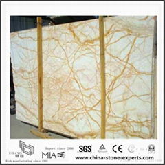 Sofitel Gold Marble