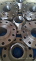 Welding Neck Flange WNF