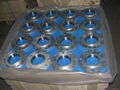 Slip-on Welding Flange(SO) 4