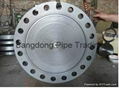 Bl Rtj Blind Flange