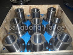 Forged Flange