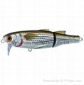 LIVETARGET Mullet Saltwater Wakebait