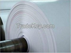 Food Grade PE Coated Rolling Paper