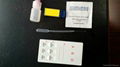 one step rapid diagnostic ABO blood