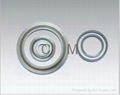 Spiral wound gasket 1