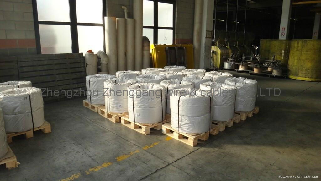 Hot dip and electro galvanized Steel wire 2