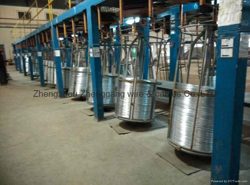 Hot dip and electro galvanized Steel wire 5
